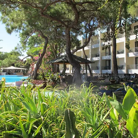 Hotel Club Rama *